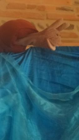 Voyage de Hiskiwiwi au pays des comptines